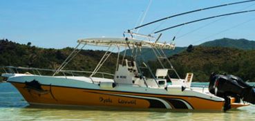 Angel Tours - Journée complète de pêche à Praslin