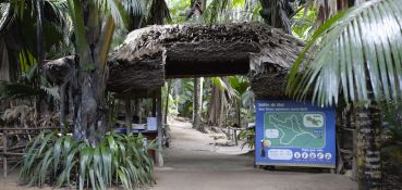 La Source des Seychelles - Vallée de Mai - Tour Guidé