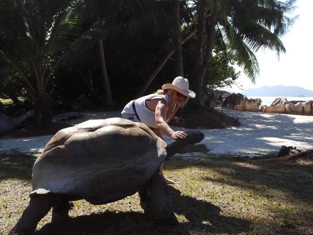 Frei laufende Schildkröten / Curieuse Island